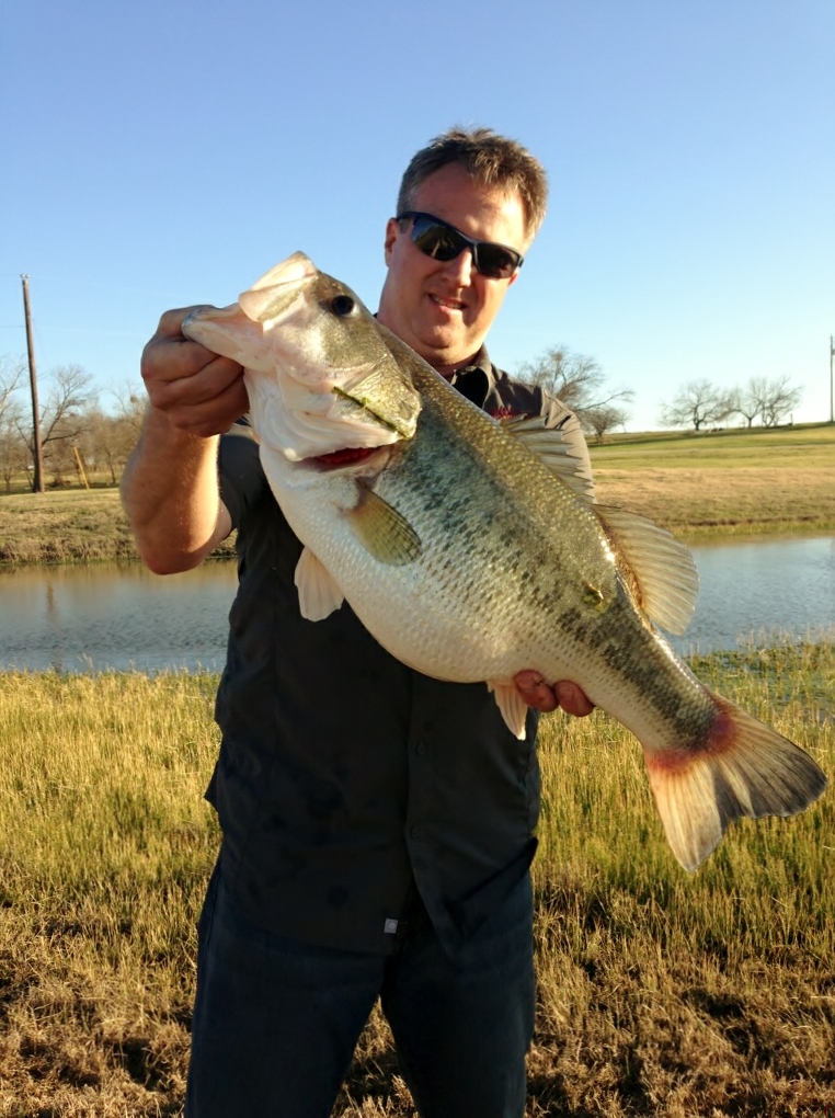 Attached picture Fat Bass .jpg